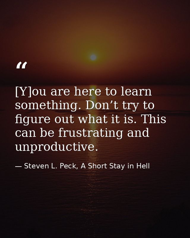 [Y]ou are here to learn something. Don’t try to figure out what it is. This can be frustrating and unproductive. — Steven L. Peck, A Short Stay in Hell