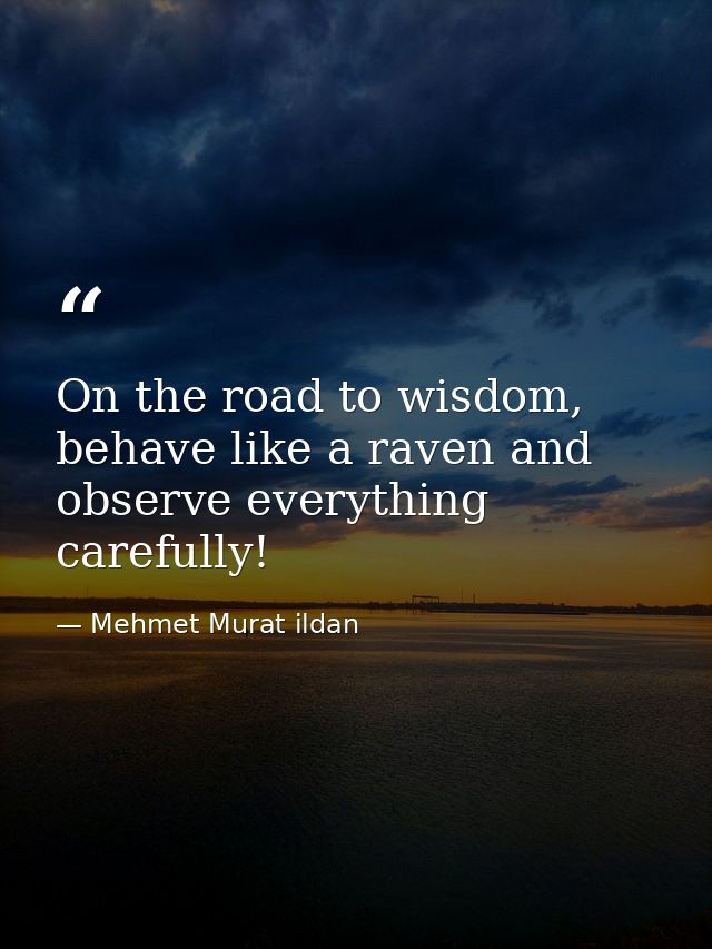 On the road to wisdom, behave like a raven and observe everything carefully! — Mehmet Murat ildan