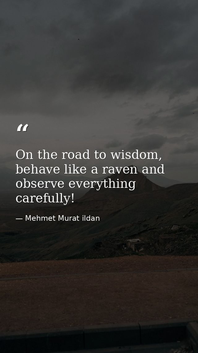 On the road to wisdom, behave like a raven and observe everything carefully! — Mehmet Murat ildan