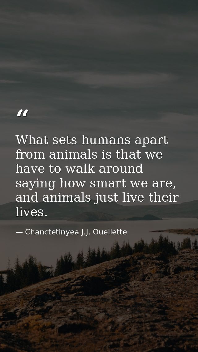 What sets humans apart from animals is that we have to walk around saying how smart we are, and animals just live their  — Chanctetinyea J.J. Ouellette