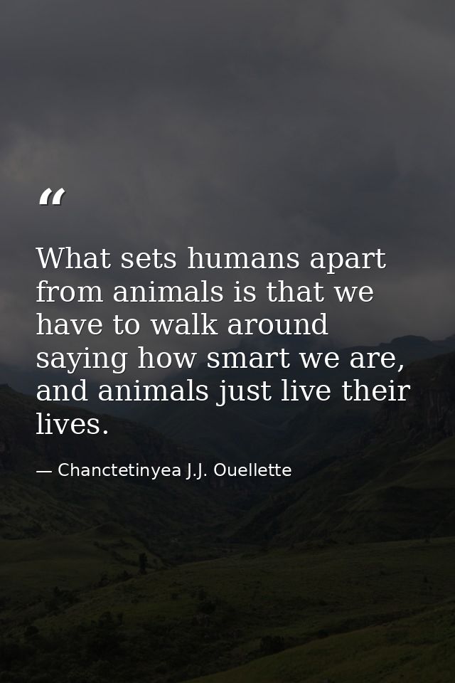What sets humans apart from animals is that we have to walk around saying how smart we are, and animals just live their  — Chanctetinyea J.J. Ouellette