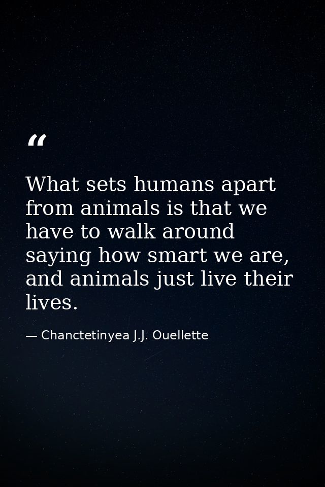 What sets humans apart from animals is that we have to walk around saying how smart we are, and animals just live their  — Chanctetinyea J.J. Ouellette