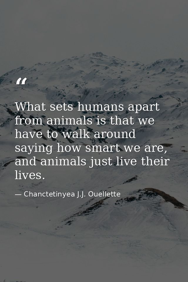 What sets humans apart from animals is that we have to walk around saying how smart we are, and animals just live their  — Chanctetinyea J.J. Ouellette