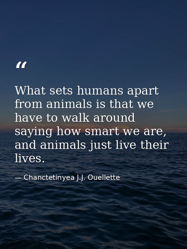 What sets humans apart from animals is that we have to walk around saying how smart we are, and animals just live their  — Chanctetinyea J.J. Ouellette