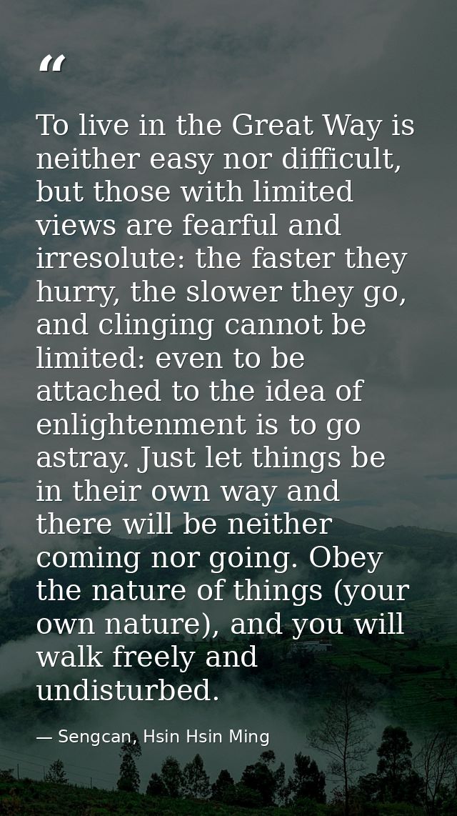 To live in the Great Way is neither easy nor difficult, but those with limited views are fearful and irresolute: the fas — Sengcan, Hsin Hsin Ming