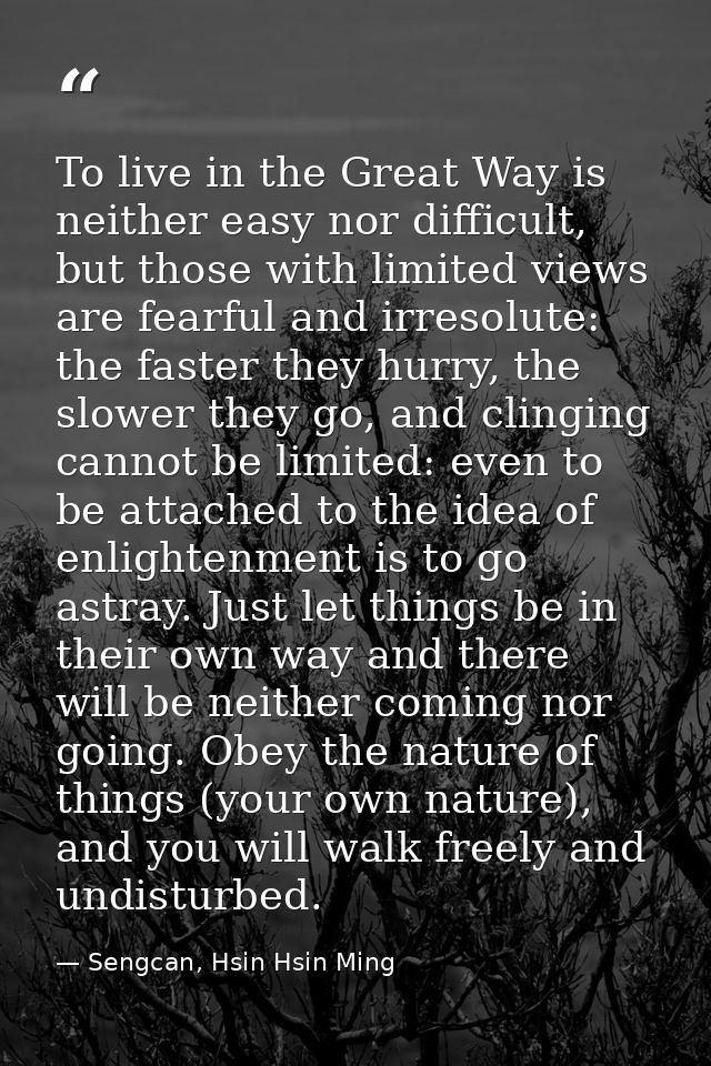 To live in the Great Way is neither easy nor difficult, but those with limited views are fearful and irresolute: the fas — Sengcan, Hsin Hsin Ming