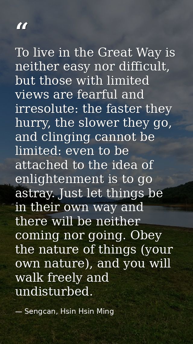To live in the Great Way is neither easy nor difficult, but those with limited views are fearful and irresolute: the fas — Sengcan, Hsin Hsin Ming