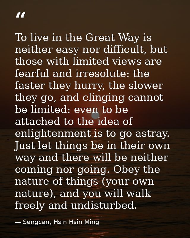 To live in the Great Way is neither easy nor difficult, but those with limited views are fearful and irresolute: the fas — Sengcan, Hsin Hsin Ming