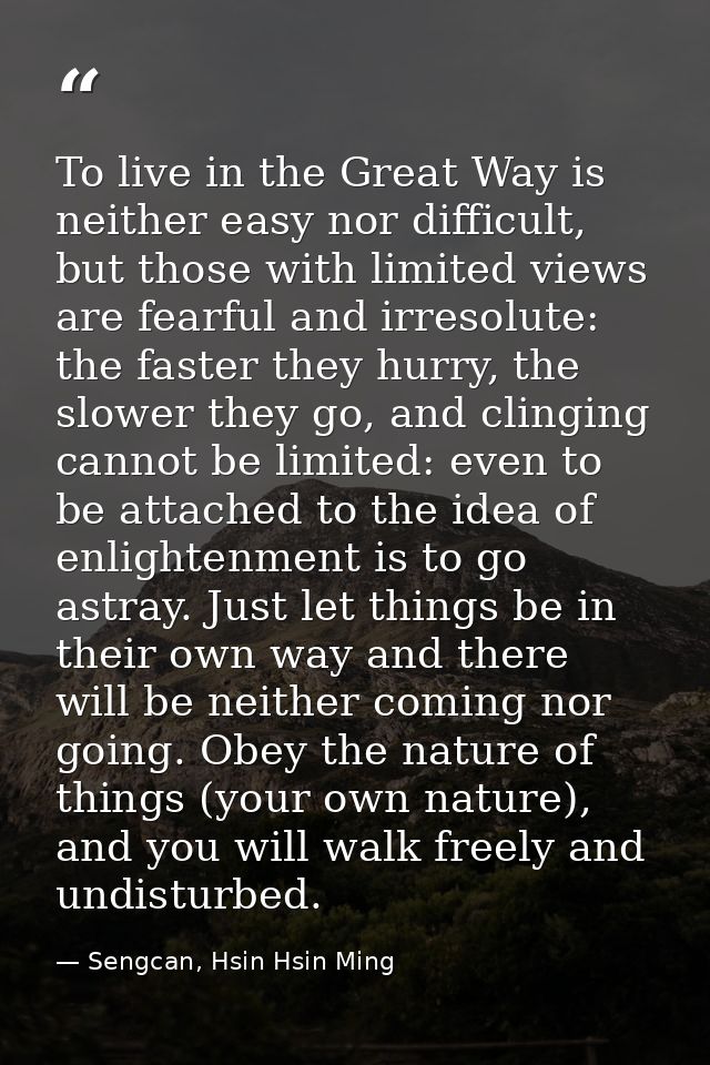 To live in the Great Way is neither easy nor difficult, but those with limited views are fearful and irresolute: the fas — Sengcan, Hsin Hsin Ming
