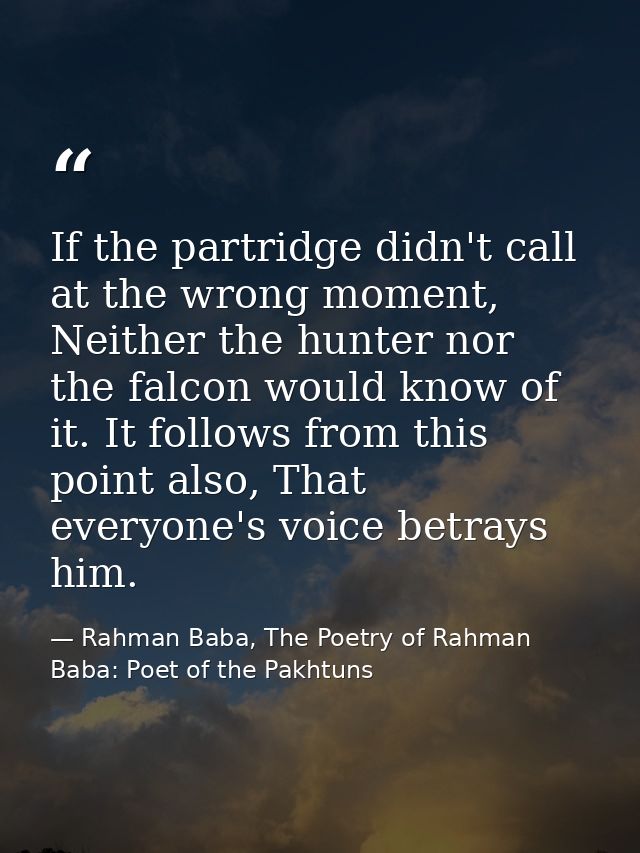 If the partridge didn't call at the wrong moment, Neither the hunter nor the falcon would know of it. It follows from th — Rahman Baba, The Poetry of Rahman Baba: Poet of the Pakhtuns