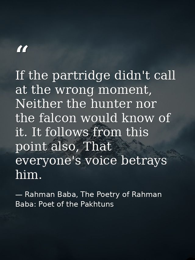 If the partridge didn't call at the wrong moment, Neither the hunter nor the falcon would know of it. It follows from th — Rahman Baba, The Poetry of Rahman Baba: Poet of the Pakhtuns