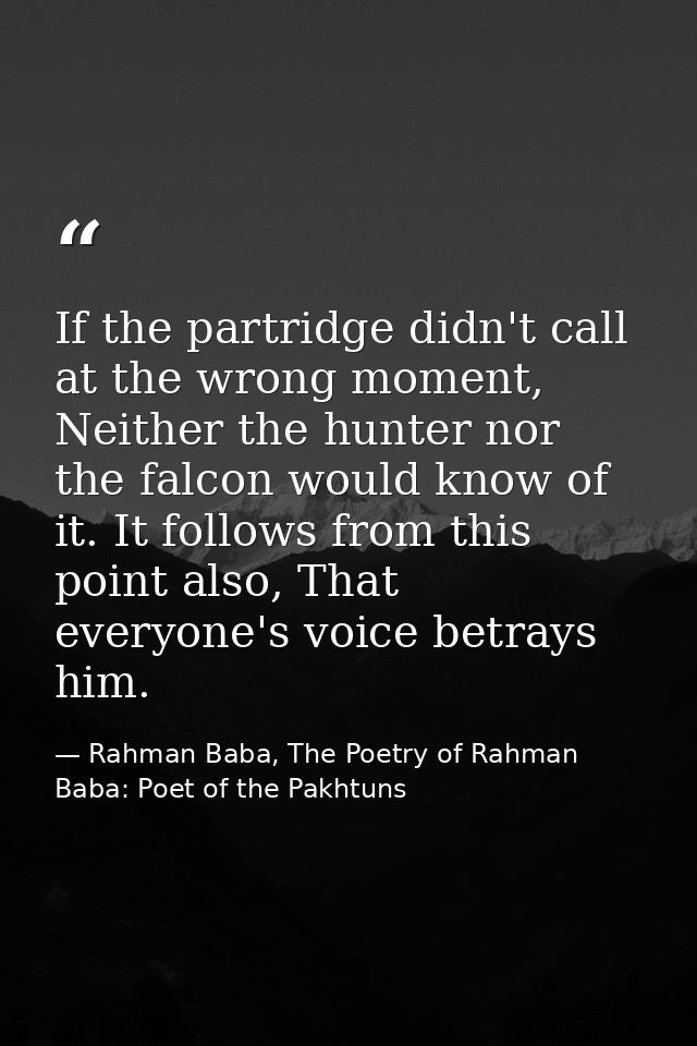 If the partridge didn't call at the wrong moment, Neither the hunter nor the falcon would know of it. It follows from th — Rahman Baba, The Poetry of Rahman Baba: Poet of the Pakhtuns