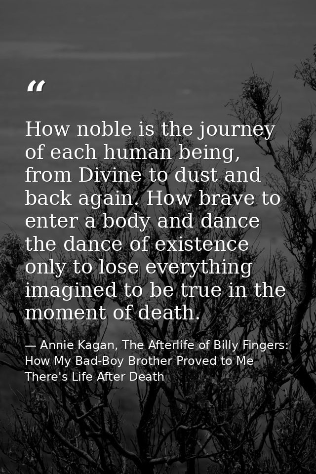 How noble is the journey of each human being, from Divine to dust and back again. How brave to enter a body and dance th — Annie Kagan, The Afterlife of Billy Fingers: How My Bad-Boy Brother Proved to Me There's Life After Death