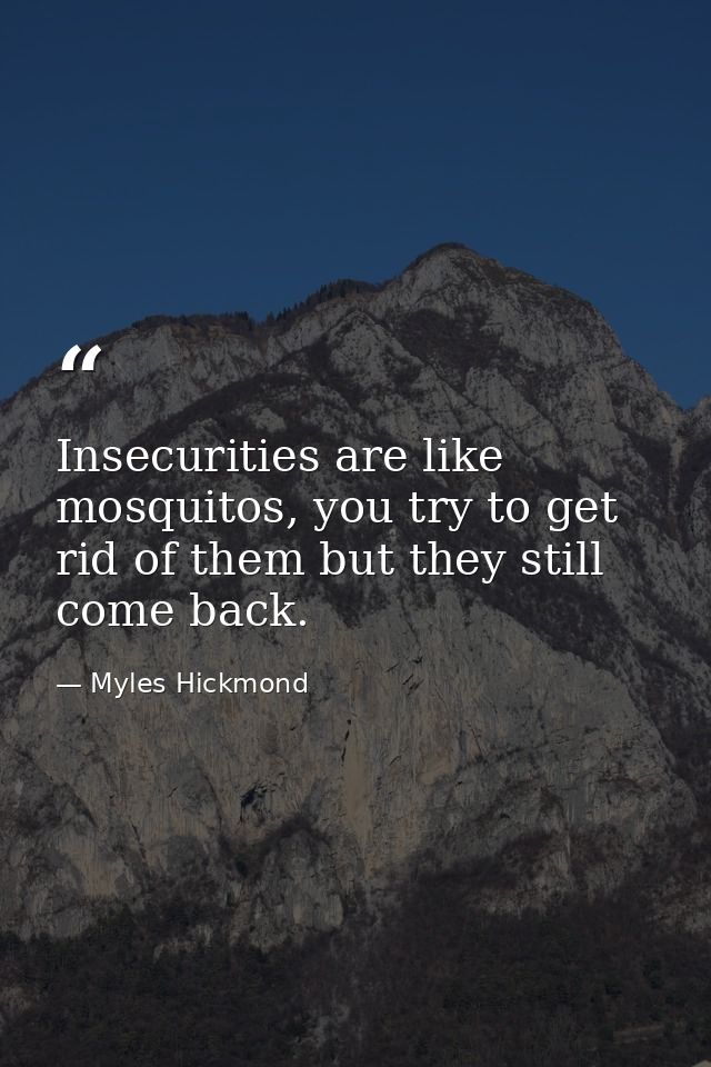 Insecurities are like mosquitos, you try to get rid of them but they still come back. — Myles Hickmond