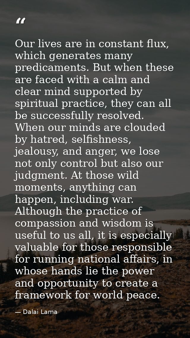 Our lives are in constant flux, which generates many predicaments. But when these are faced with a calm and clear mind s — Dalai Lama
