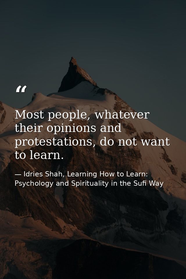 Most people, whatever their opinions and protestations, do not want to learn. — Idries Shah, Learning How to Learn: Psychology and Spirituality in the Sufi Way