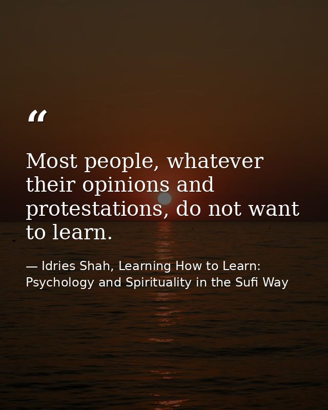 Most people, whatever their opinions and protestations, do not want to learn. — Idries Shah, Learning How to Learn: Psychology and Spirituality in the Sufi Way