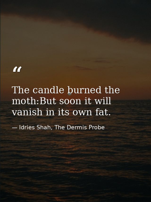 The candle burned the moth:But soon it will vanish in its own fat. — Idries Shah, The Dermis Probe