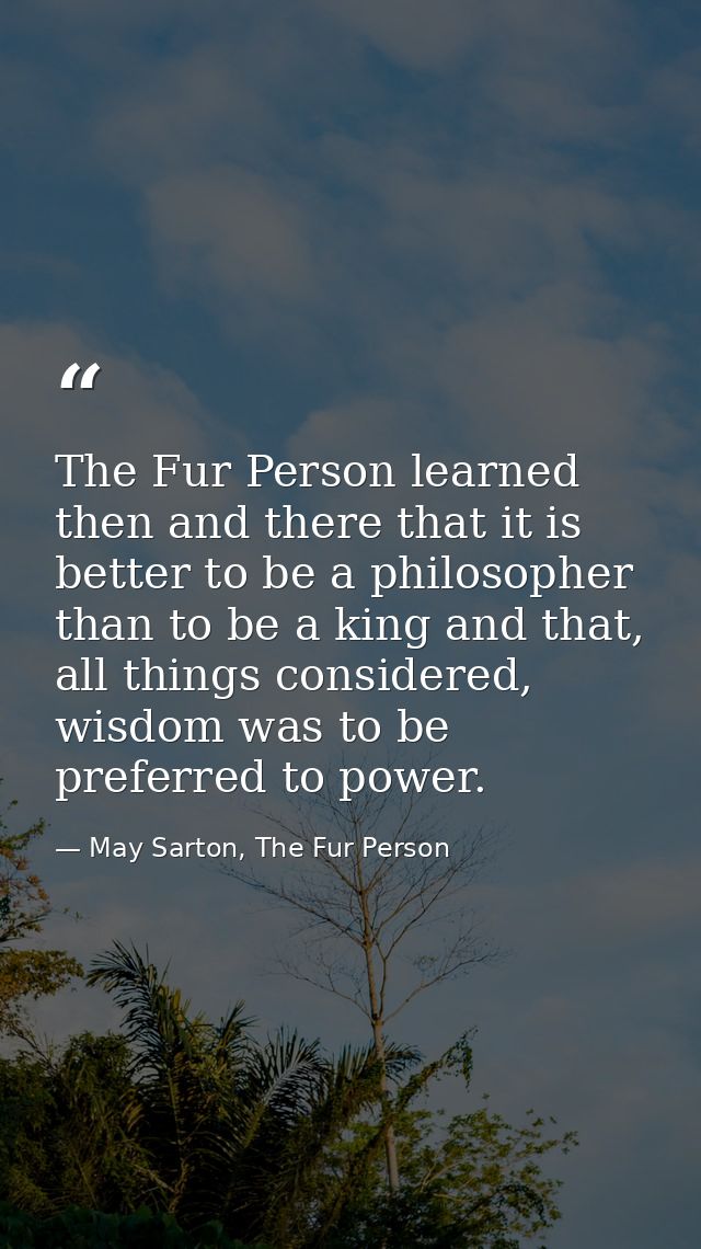 The Fur Person learned then and there that it is better to be a philosopher than to be a king and that, all things consi — May Sarton, The Fur Person