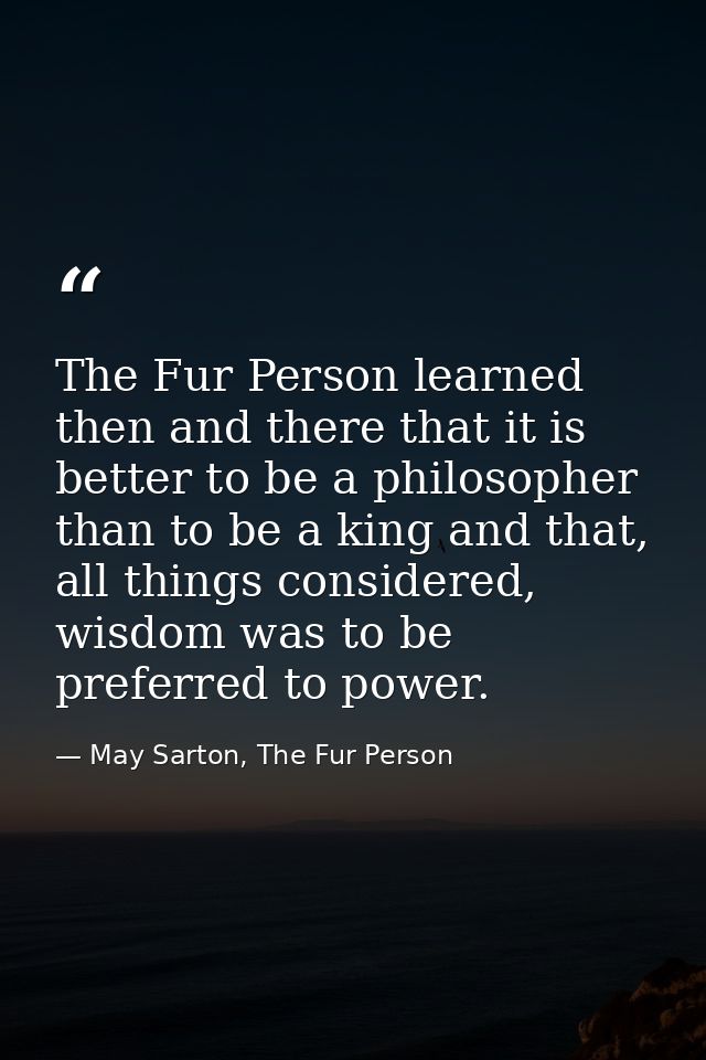 The Fur Person learned then and there that it is better to be a philosopher than to be a king and that, all things consi — May Sarton, The Fur Person