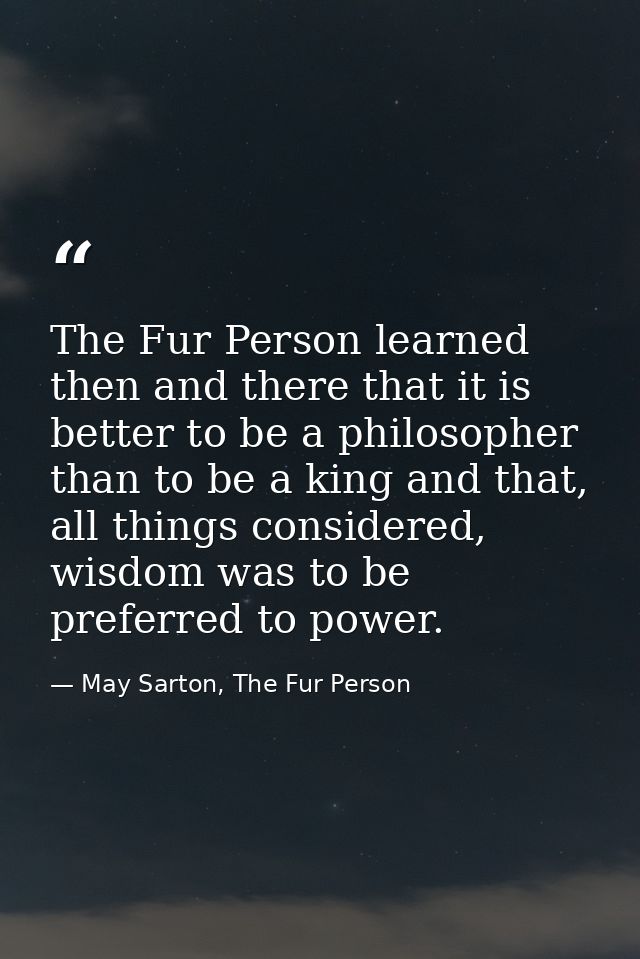 The Fur Person learned then and there that it is better to be a philosopher than to be a king and that, all things consi — May Sarton, The Fur Person