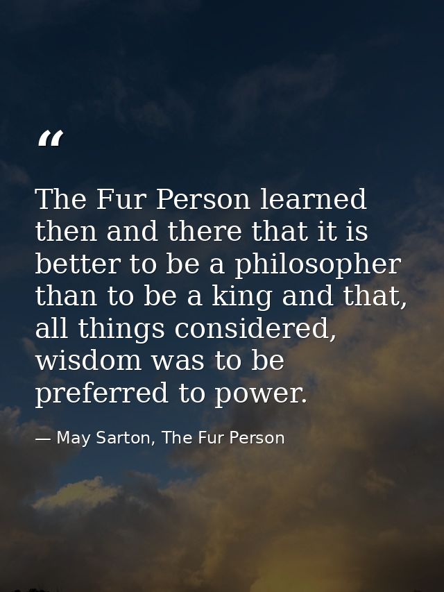 The Fur Person learned then and there that it is better to be a philosopher than to be a king and that, all things consi — May Sarton, The Fur Person