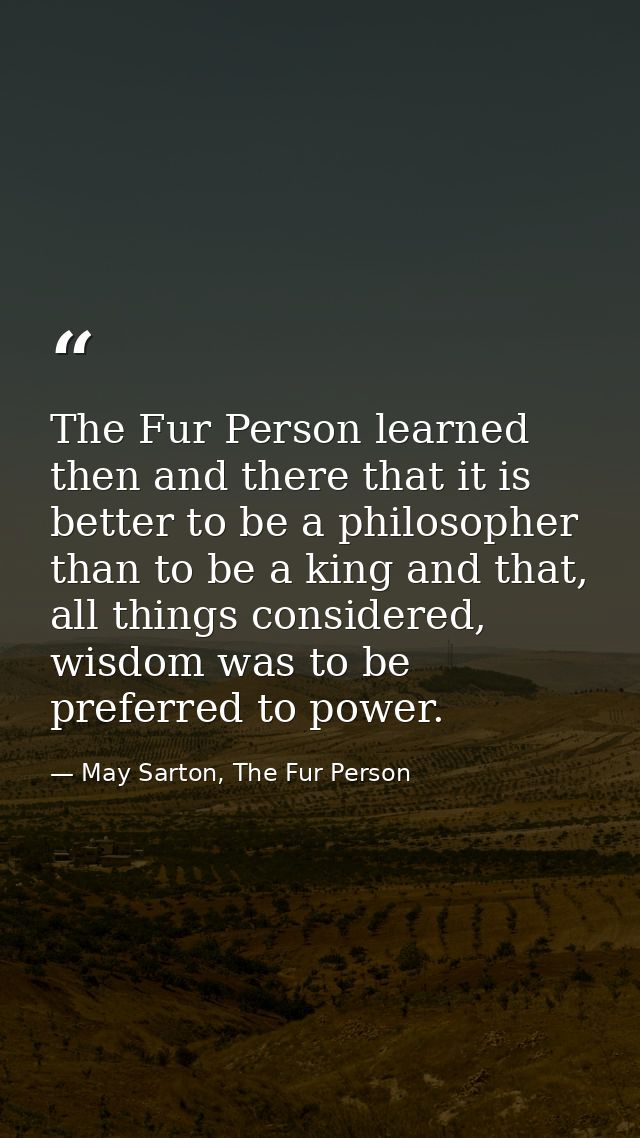 The Fur Person learned then and there that it is better to be a philosopher than to be a king and that, all things consi — May Sarton, The Fur Person