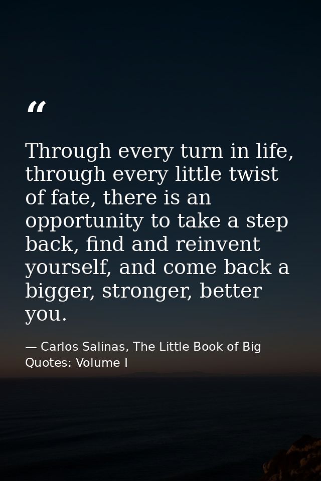 Through every turn in life, through every little twist of fate, there is an opportunity to take a step back, find and re — Carlos Salinas, The Little Book of Big Quotes: Volume I