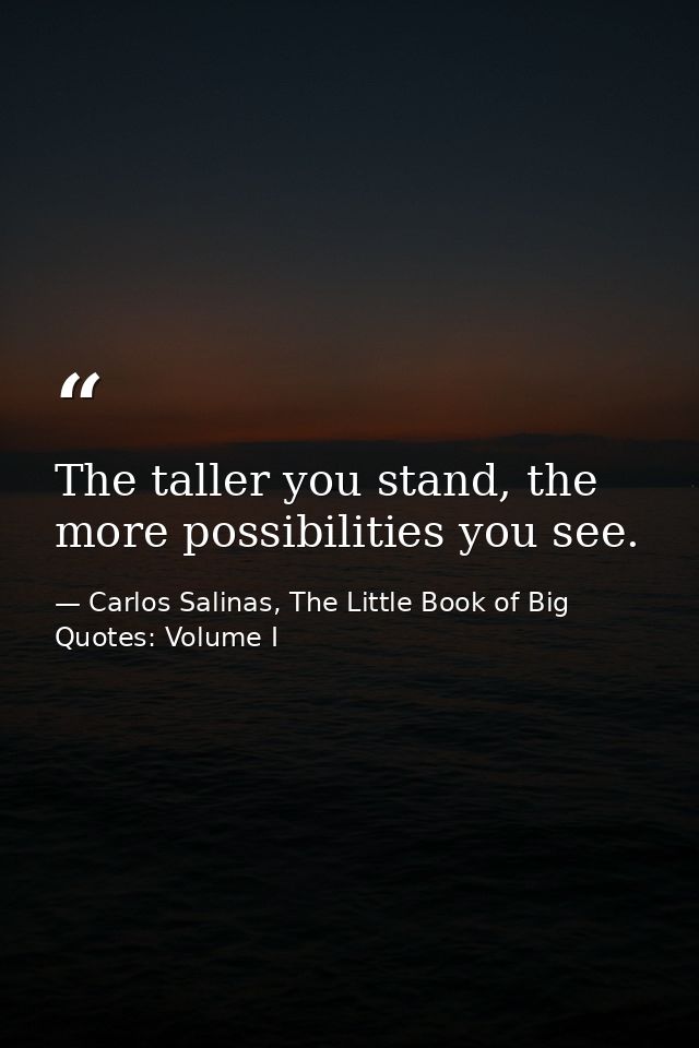 The taller you stand, the more possibilities you see. — Carlos Salinas, The Little Book of Big Quotes: Volume I