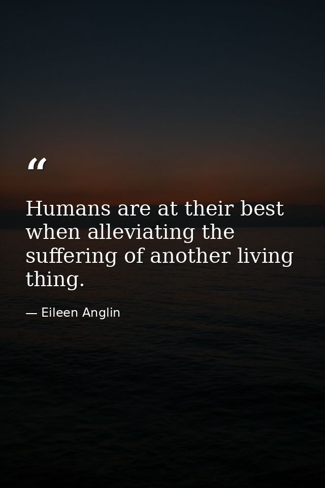 Humans are at their best when alleviating the suffering of another living thing. — Eileen Anglin