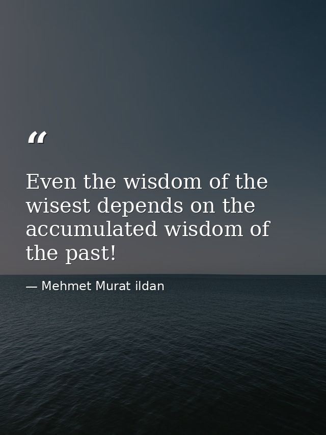Even the wisdom of the wisest depends on the accumulated wisdom of the past! — Mehmet Murat ildan