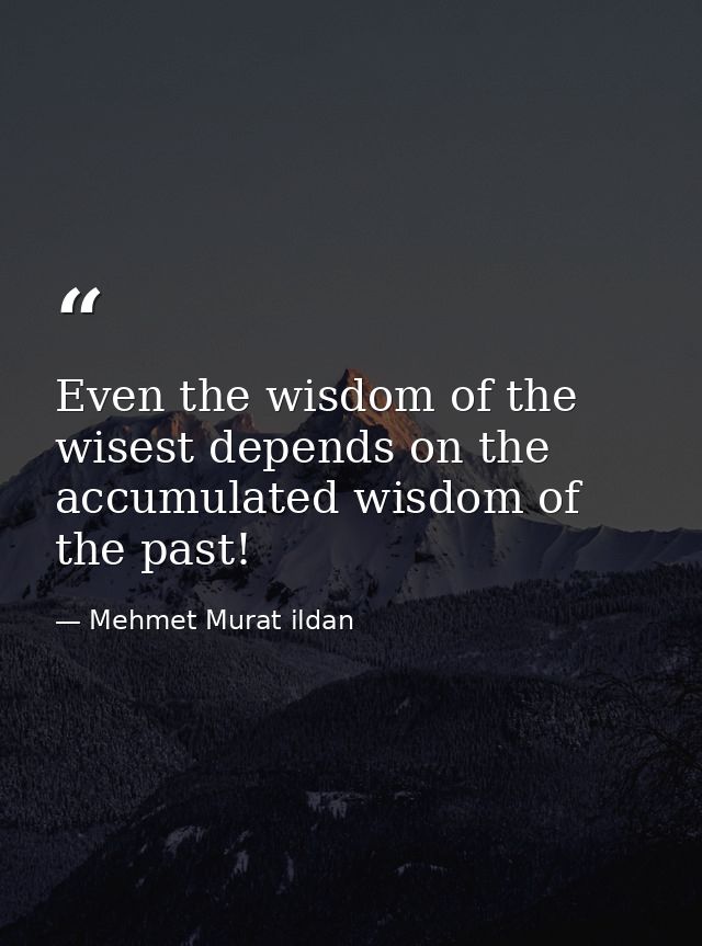 Even the wisdom of the wisest depends on the accumulated wisdom of the past! — Mehmet Murat ildan