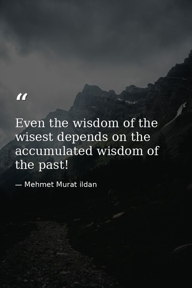 Even the wisdom of the wisest depends on the accumulated wisdom of the past! — Mehmet Murat ildan