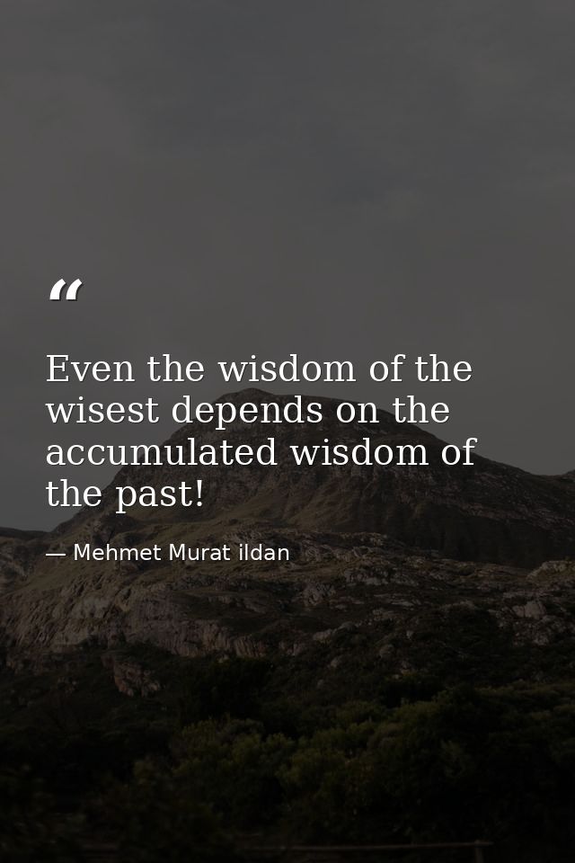 Even the wisdom of the wisest depends on the accumulated wisdom of the past! — Mehmet Murat ildan