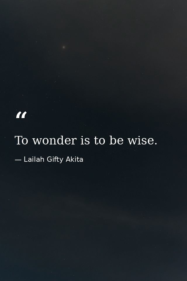 To wonder is to be wise. — Lailah Gifty Akita