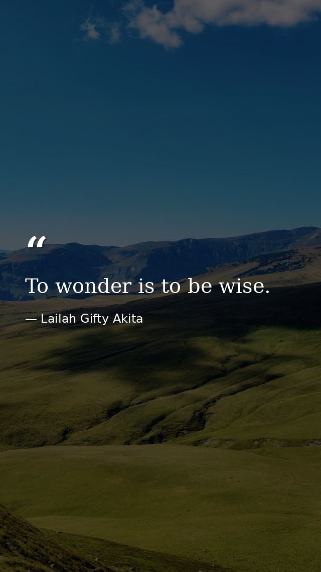 To wonder is to be wise. — Lailah Gifty Akita