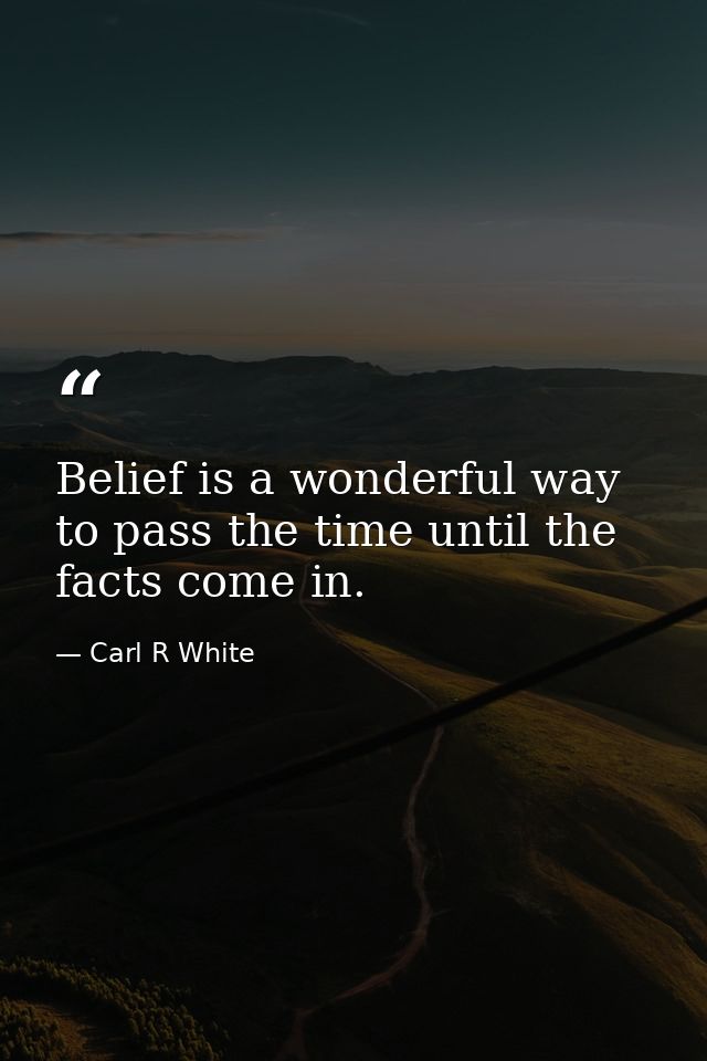 Belief is a wonderful way to pass the time until the facts come in. — Carl R White