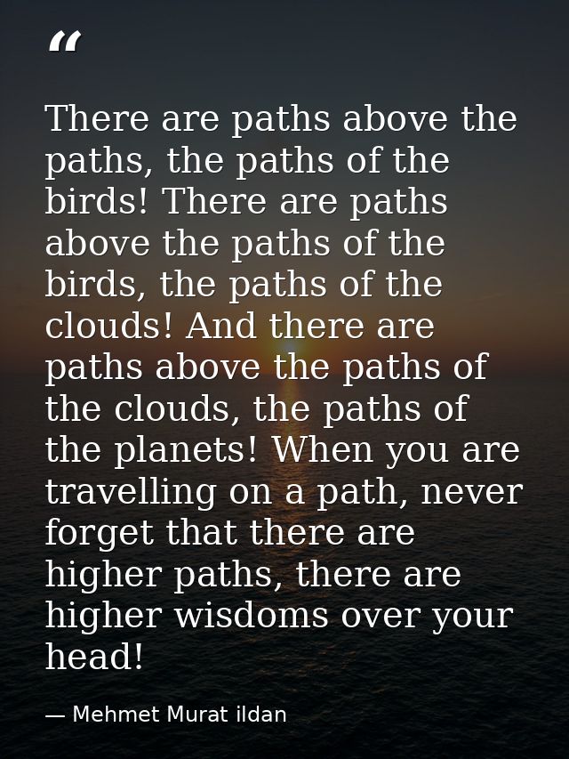 There are paths above the paths, the paths of the birds! There are paths above the paths of the birds, the paths of the  — Mehmet Murat ildan