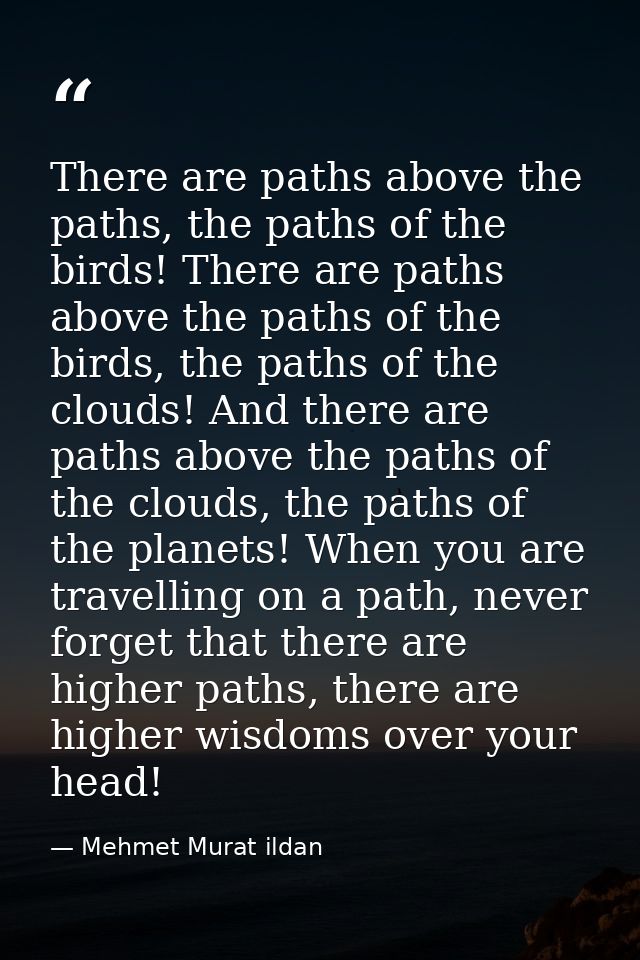There are paths above the paths, the paths of the birds! There are paths above the paths of the birds, the paths of the  — Mehmet Murat ildan