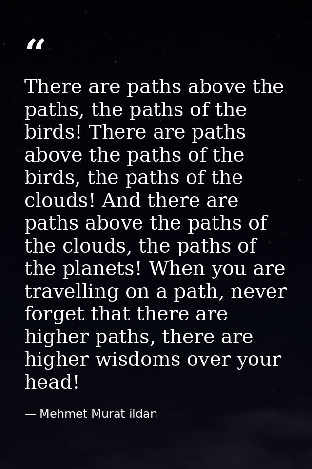 There are paths above the paths, the paths of the birds! There are paths above the paths of the birds, the paths of the  — Mehmet Murat ildan