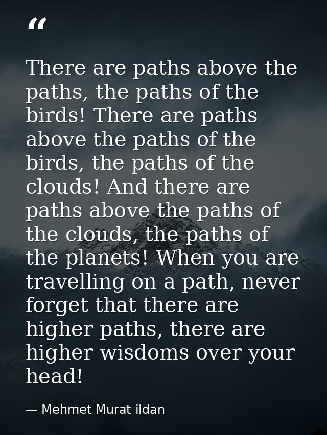 There are paths above the paths, the paths of the birds! There are paths above the paths of the birds, the paths of the  — Mehmet Murat ildan