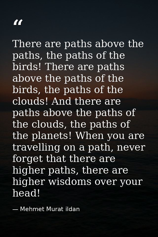 There are paths above the paths, the paths of the birds! There are paths above the paths of the birds, the paths of the  — Mehmet Murat ildan
