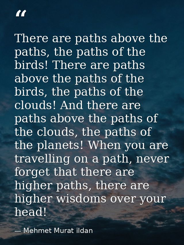 There are paths above the paths, the paths of the birds! There are paths above the paths of the birds, the paths of the  — Mehmet Murat ildan