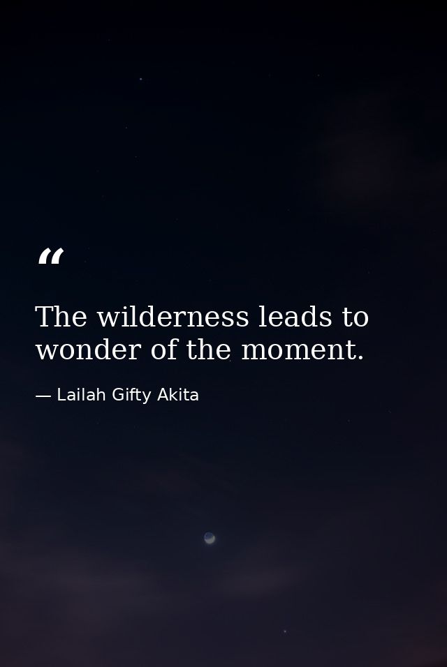 The wilderness leads to wonder of the moment. — Lailah Gifty Akita
