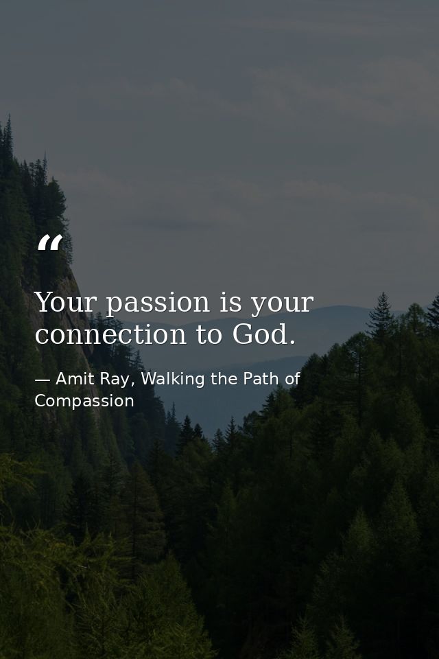 Your passion is your connection to God. — Amit Ray, Walking the Path of Compassion