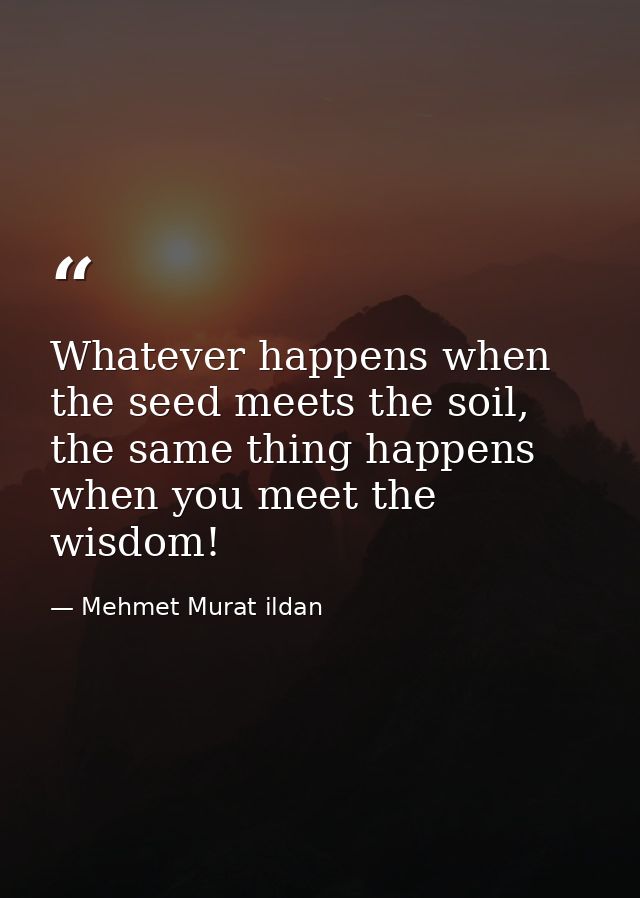 Whatever happens when the seed meets the soil, the same thing happens when you meet the wisdom! — Mehmet Murat ildan