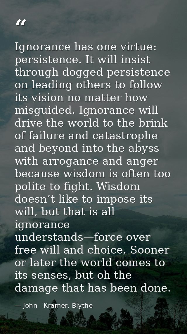 Ignorance has one virtue: persistence. It will insist through dogged persistence on leading others to follow its vision  — John   Kramer, Blythe