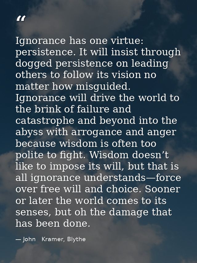 Ignorance has one virtue: persistence. It will insist through dogged persistence on leading others to follow its vision  — John   Kramer, Blythe