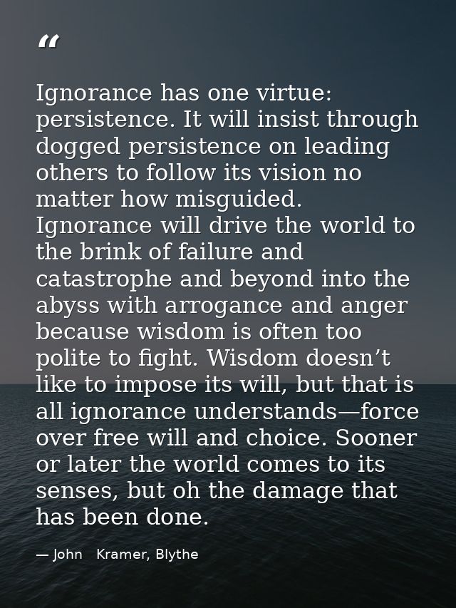 Ignorance has one virtue: persistence. It will insist through dogged persistence on leading others to follow its vision  — John   Kramer, Blythe