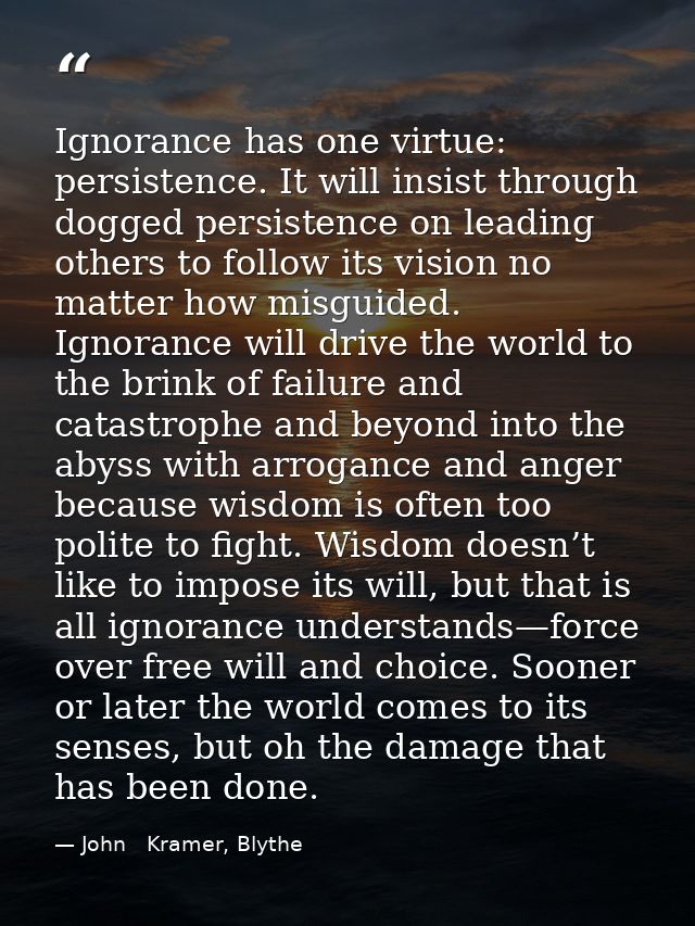 Ignorance has one virtue: persistence. It will insist through dogged persistence on leading others to follow its vision  — John   Kramer, Blythe